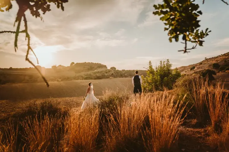 Hannah and Keith standing far off in golden fields framed by tall grasses and branches