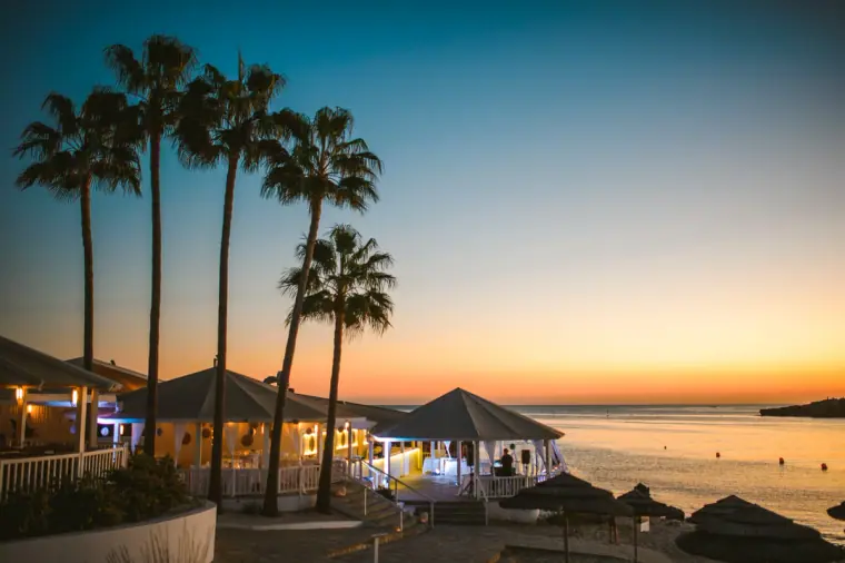 Palm trees silhouetted against a sunset over the sea at Nissi Beach Resort, Ayia Napa