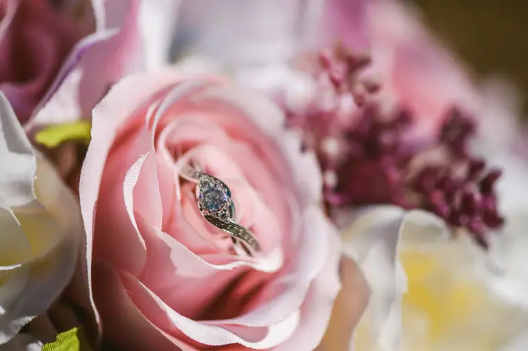 Engagement ring nestled in a pink rose