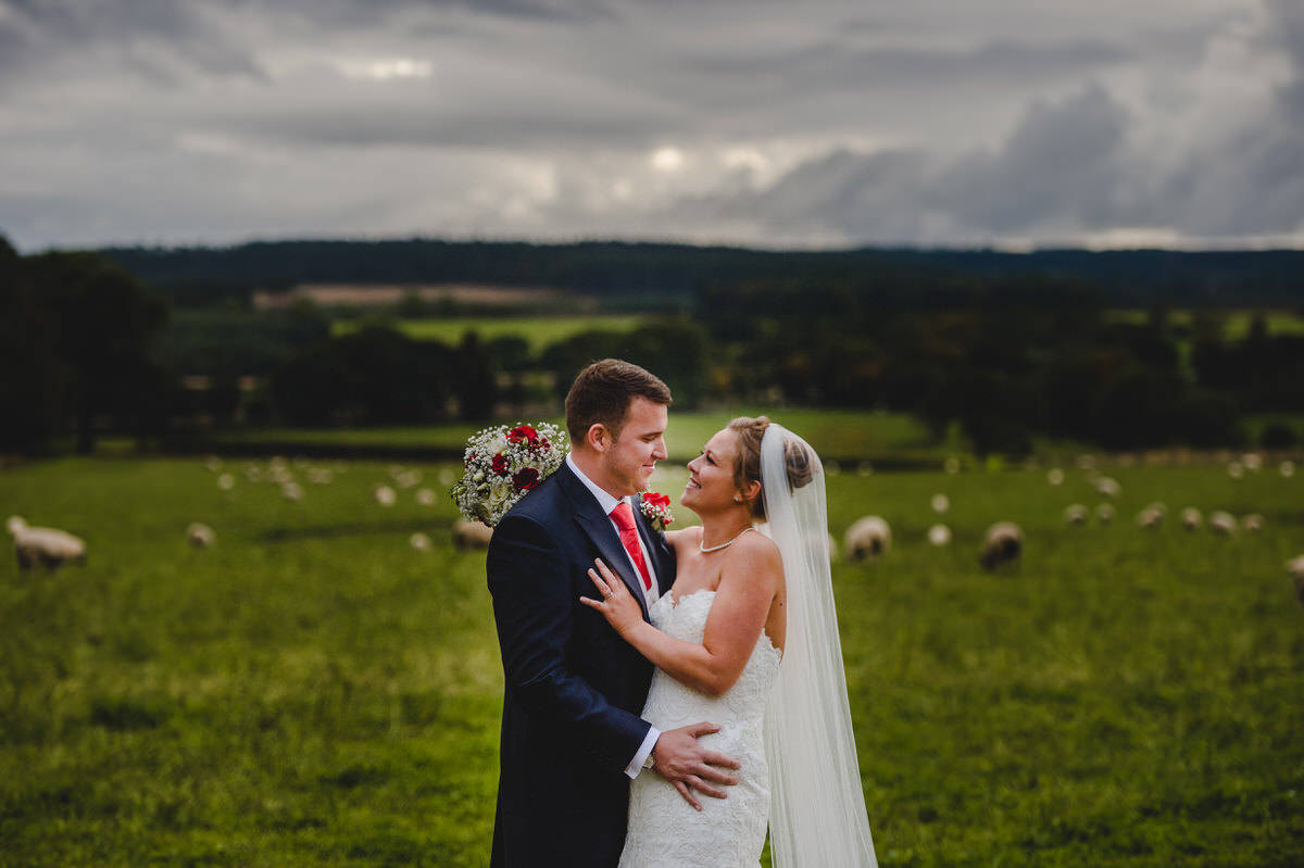 Bride and groom couple shoot with sheep